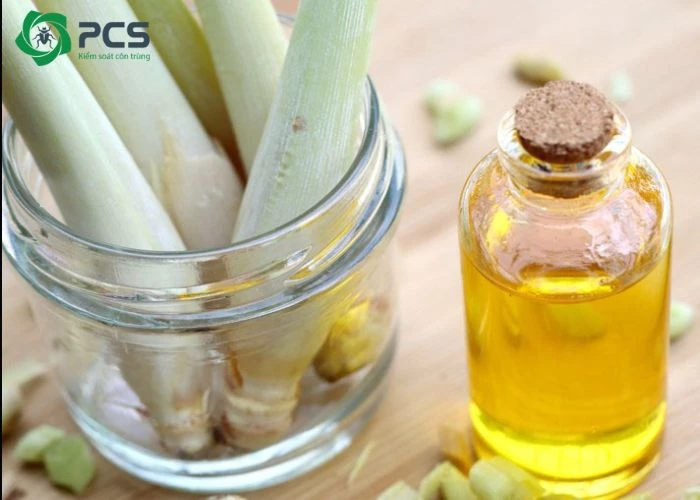tinh dầu sả có đuổi được gián không